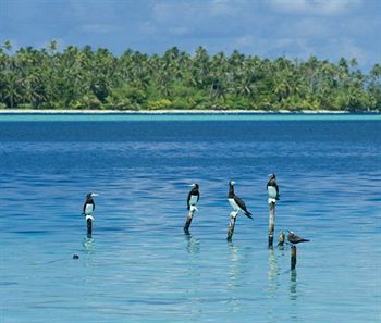 Opoa Beach Hotel Raiatea Luaran gambar